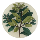 John Derian - Winter Cinnamon Charger Plate