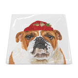 Holiday Pet Plates