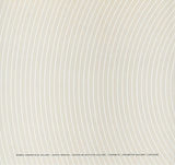 Infinite Possibility: The Paintings of David Shapiro
