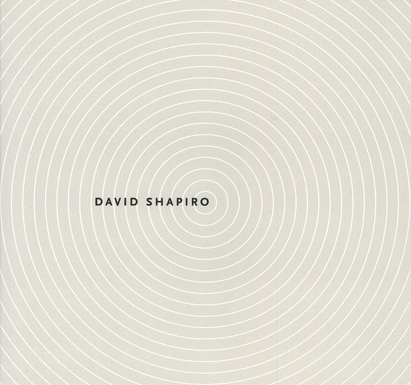 Infinite Possibility: The Paintings of David Shapiro
