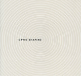 Infinite Possibility: The Paintings of David Shapiro