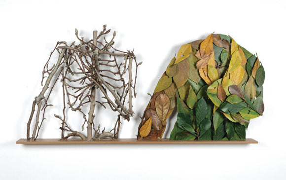 Current Exhibitions