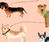 OUT FOR A WALK -  Happy Birthday Card