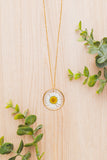 Pressed Daisy Necklace