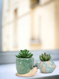Mini Snail Planter-Turquoise-2.5"H