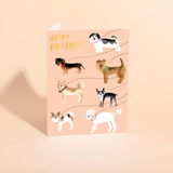 OUT FOR A WALK -  Happy Birthday Card