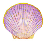 Shell Notes