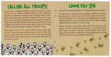 Hug a Lemur Kit