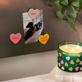 Anti Valentine Magnet Set