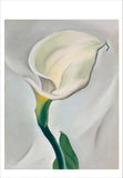 Georgia O'Keeffe Book of Postcards