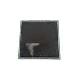 Magnet - PEEPS Since 1953 Retro 5ct