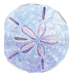 Shell Notes