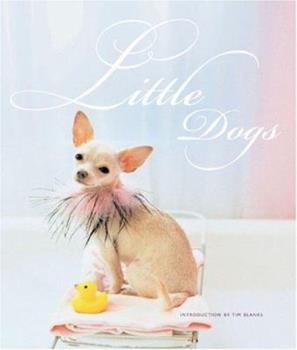 Little Dogs Book