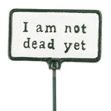 Plant Signs-Antique White-5 Assorted-2x3.5"L