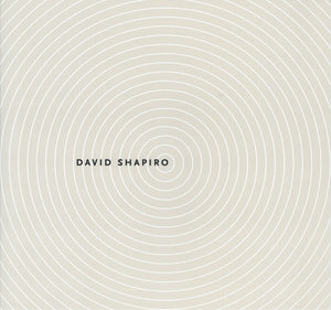 Infinite Possibility: The Paintings of David Shapiro