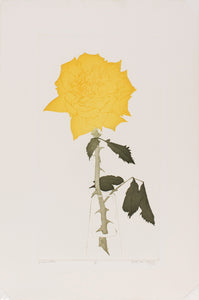 Beth Van Hoesen—Yellow Rose